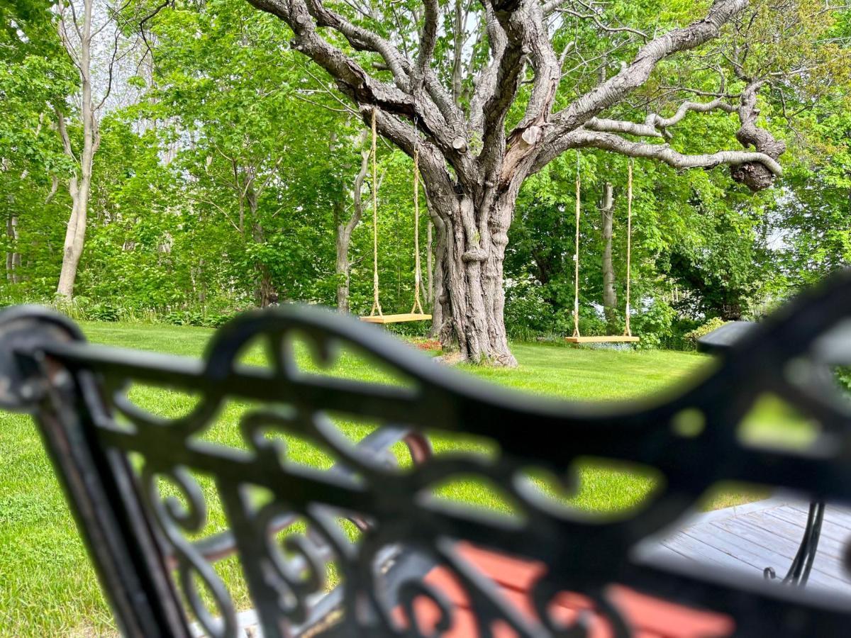 Belle View Manor Inn Harbour Grace エクステリア 写真